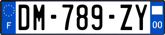 DM-789-ZY