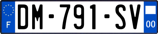 DM-791-SV