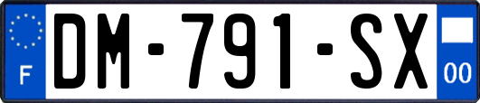 DM-791-SX