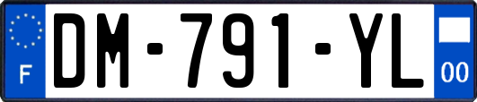 DM-791-YL