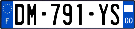 DM-791-YS