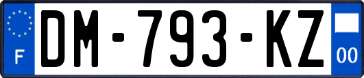 DM-793-KZ
