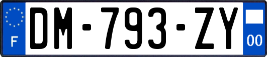 DM-793-ZY