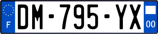 DM-795-YX