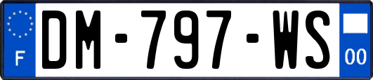 DM-797-WS