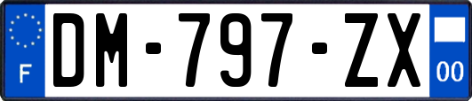 DM-797-ZX