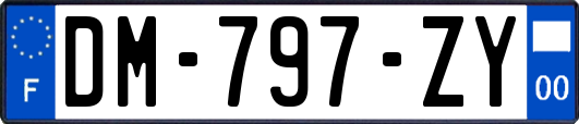 DM-797-ZY