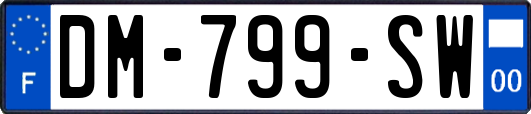 DM-799-SW