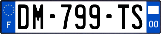 DM-799-TS