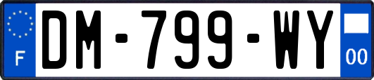 DM-799-WY