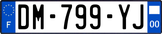 DM-799-YJ