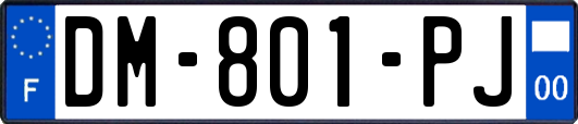 DM-801-PJ