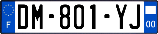 DM-801-YJ