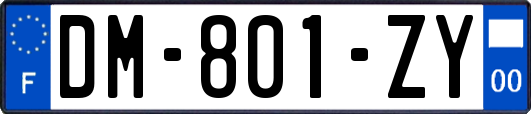 DM-801-ZY