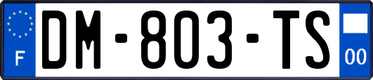 DM-803-TS