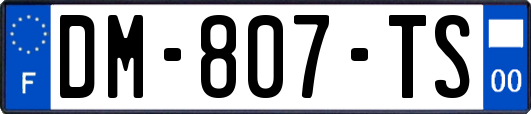 DM-807-TS