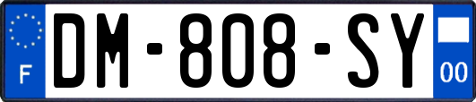 DM-808-SY