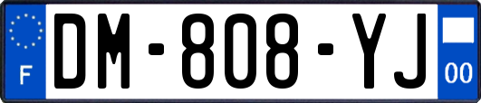 DM-808-YJ