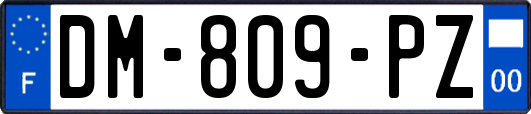 DM-809-PZ