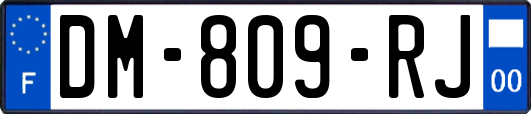 DM-809-RJ