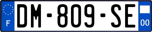 DM-809-SE