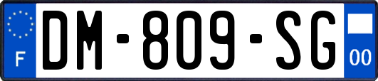 DM-809-SG