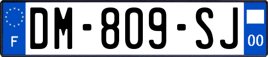 DM-809-SJ