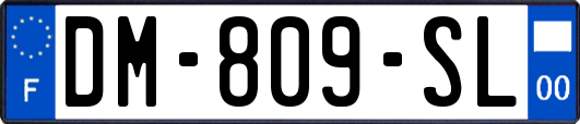 DM-809-SL
