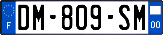 DM-809-SM