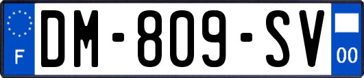 DM-809-SV