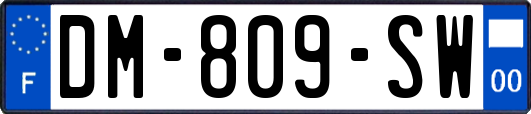 DM-809-SW