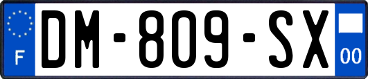 DM-809-SX