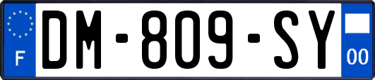 DM-809-SY