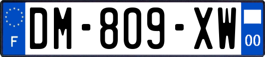 DM-809-XW