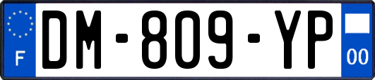 DM-809-YP