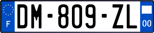 DM-809-ZL