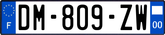 DM-809-ZW