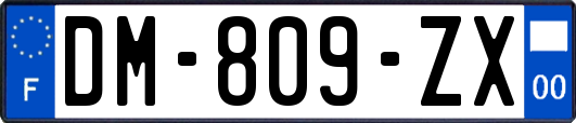 DM-809-ZX