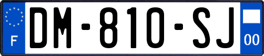 DM-810-SJ
