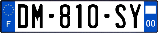 DM-810-SY