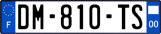 DM-810-TS