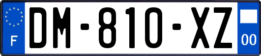 DM-810-XZ