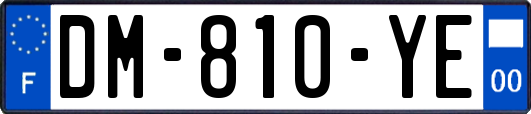 DM-810-YE