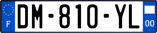 DM-810-YL