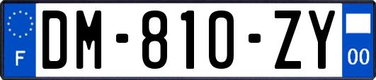 DM-810-ZY