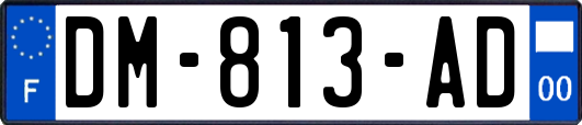 DM-813-AD