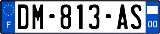 DM-813-AS