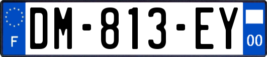 DM-813-EY