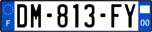 DM-813-FY