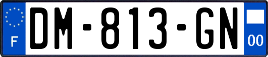 DM-813-GN